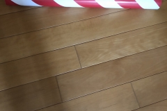 C18F503B-F48D-48C5-806C-9511481F1E63-17392-000007072568F963_27FEFE5D-7018-4845-BBAB-C2438C90619B-17392-000007052D05A707_image