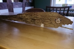 Mitja-Gramman-Fisch-Objet-trouvé-27.4.2020-DSC_0262