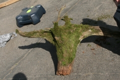 Tamara-Boie-Wurzelhocker-Objet-trouvé-28.4.2020-IMG_3019