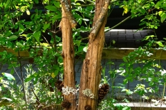 cerf-trouvé-Sarah-Winzenburg-28.4.2020-Objet-trouvé-Hirsch