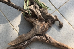 share-Henrike-Steinpass-Objet-trouvé-28.4.2020